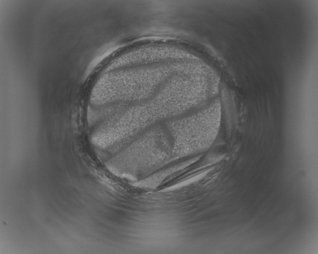 X0000076071352200610202003