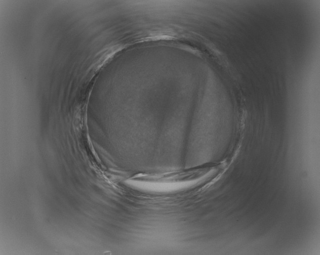 X0000076071353200610202003