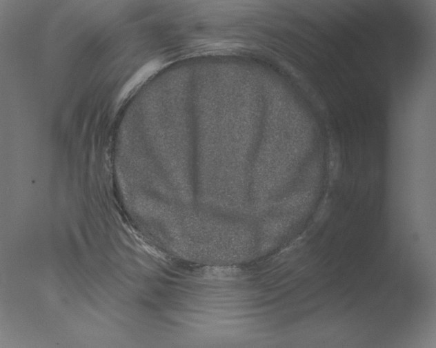 X0000076071354200610202003