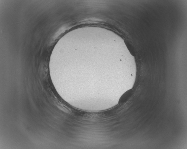 X0000076071355200610202003