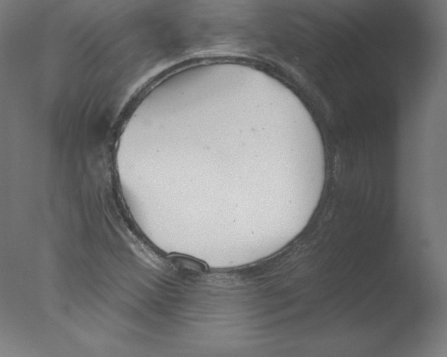 X0000076071356200610202003