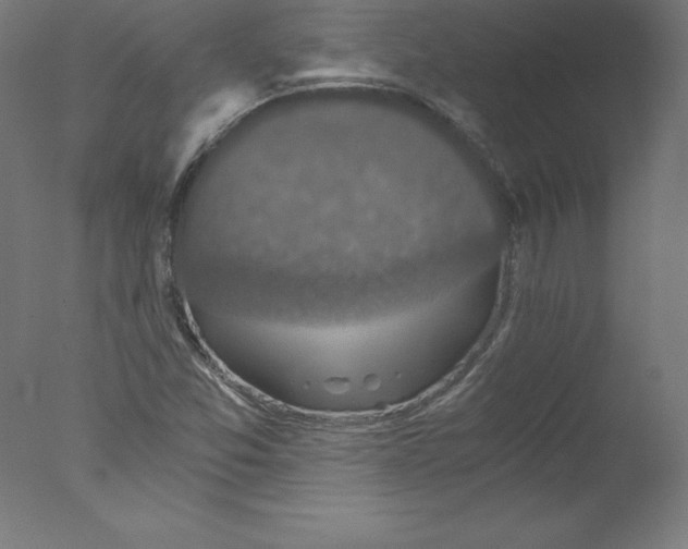 X0000076071357200610202003