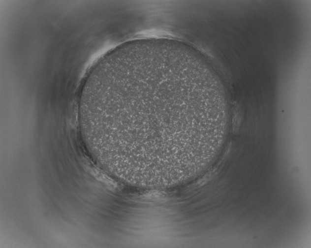 X0000076071358200610202003