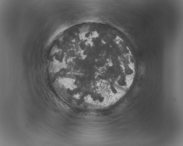 X0000076071359200610202003