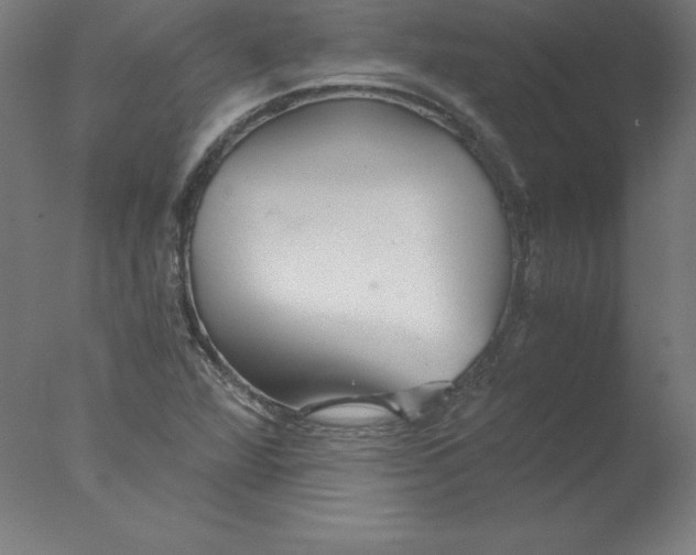 X0000076071360200610202003