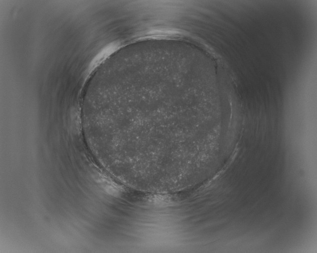 X0000076071362200610202003