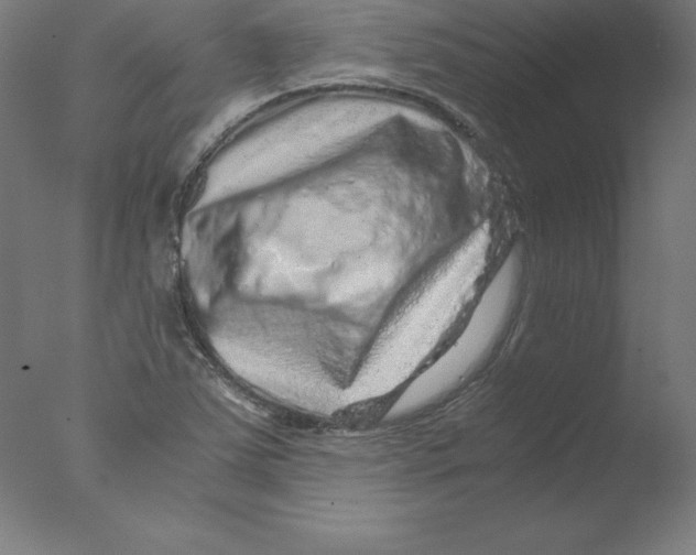 X0000076071363200610202003