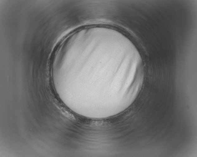 X0000076071364200610202003