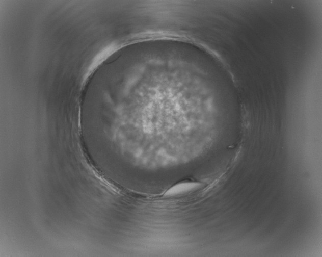 X0000076071365200610202003