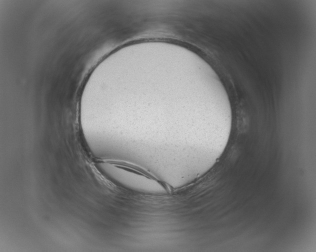 X0000076071366200610202003