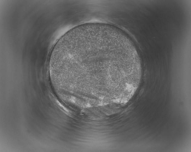 X0000076071367200610202003