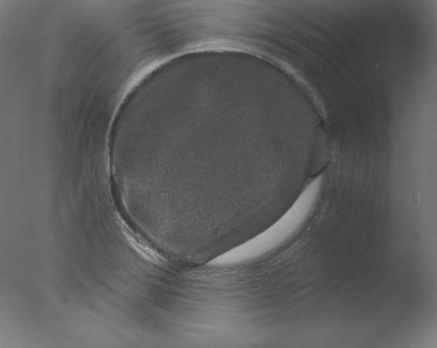 X0000076071372200610202003