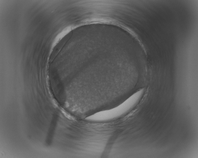 X0000076071373200610202003