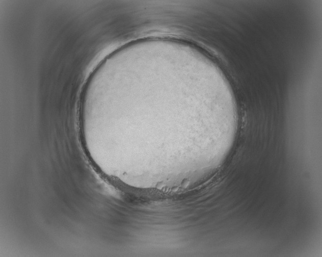 X0000076071375200610202003