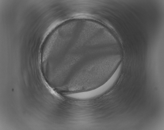 X0000076071376200610202003