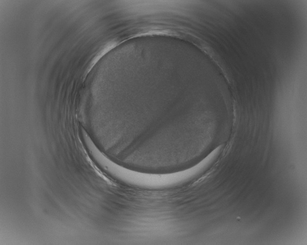 X0000076071377200610202003