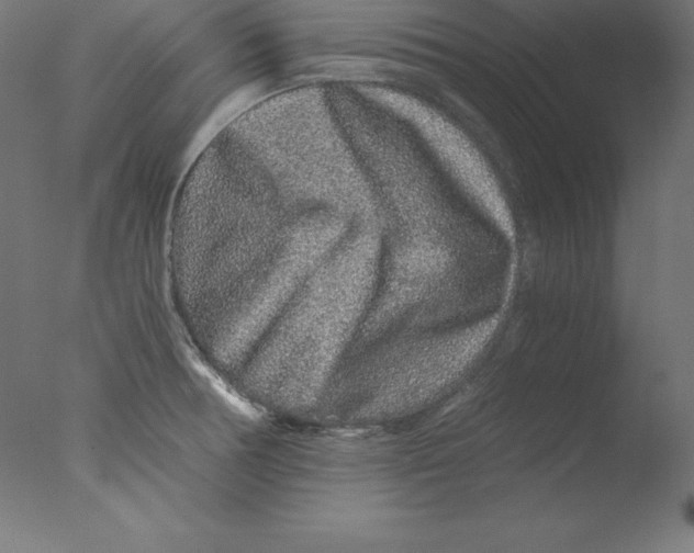 X0000076071378200610202003