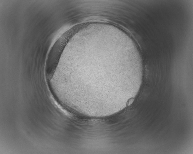 X0000076071379200610202003