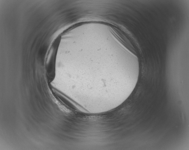 X0000076071380200610202003