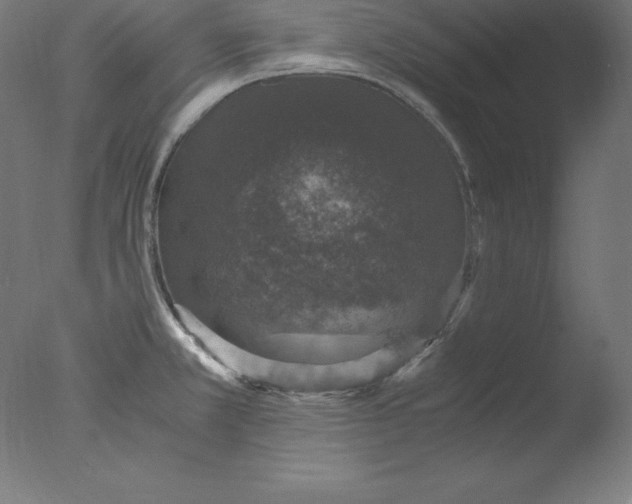 X0000076071381200610202003