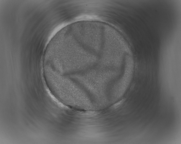 X0000076071382200610202003