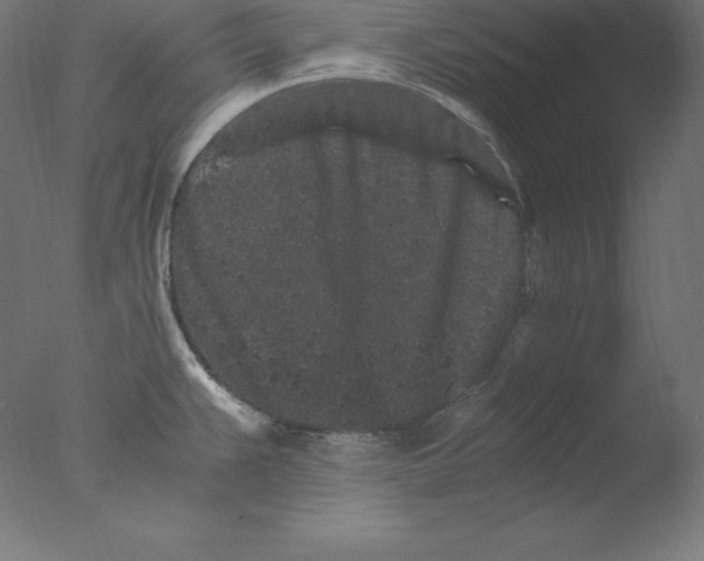 X0000076071383200610202003