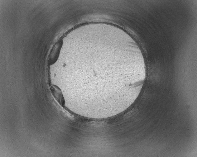 X0000076071384200610202003