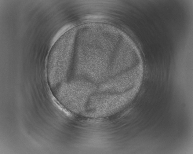 X0000076071386200610202003