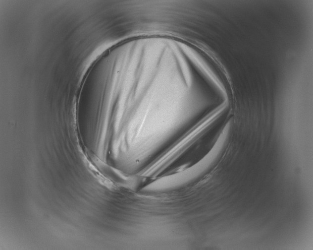 X0000076071388200610202003