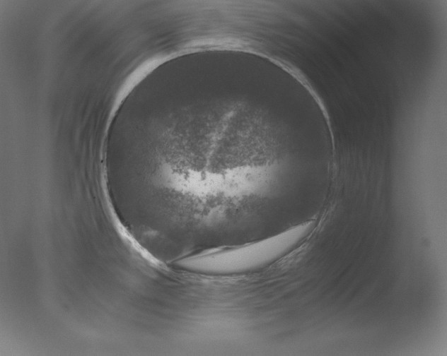 X0000076071389200610202003