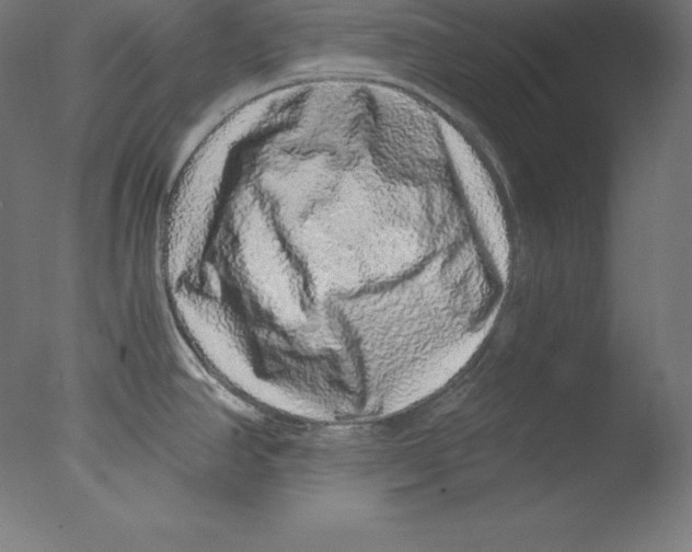 X0000076071390200610202003