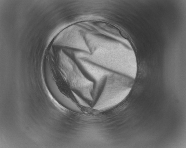 X0000076071391200610202003