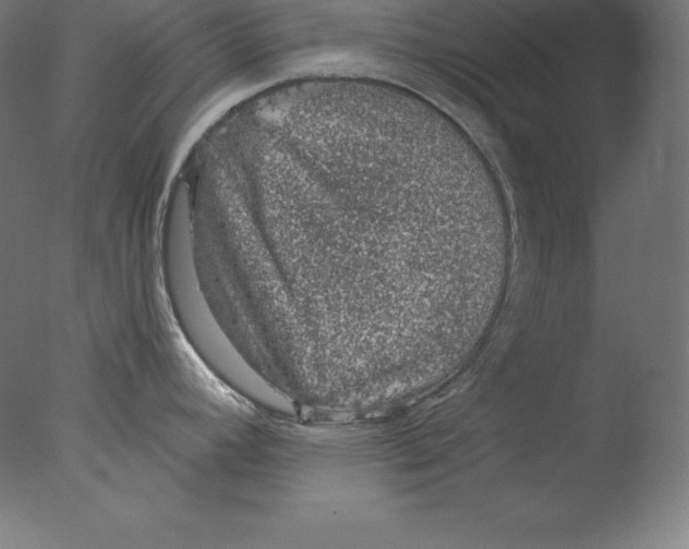 X0000076071392200610202003