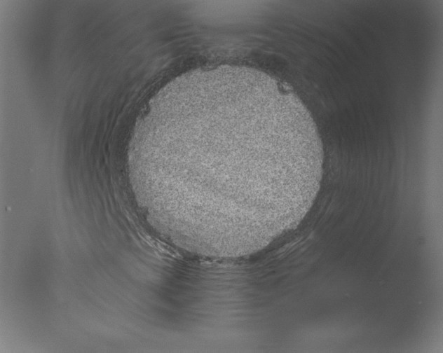 X0000076071393200610202002