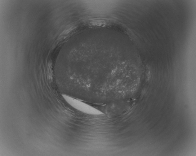 X0000076071394200610202002