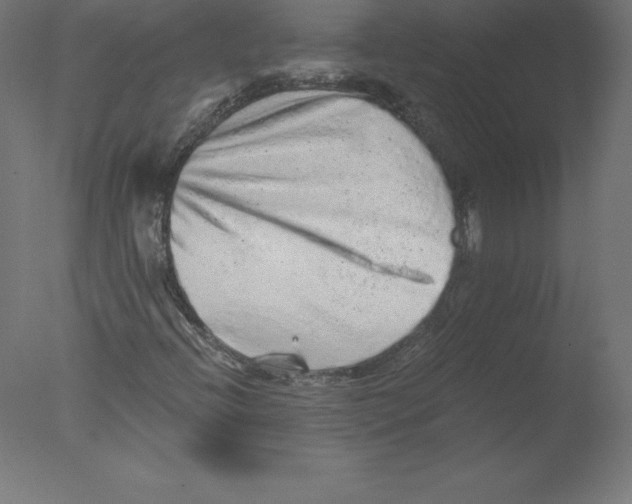 X0000076071396200610202002