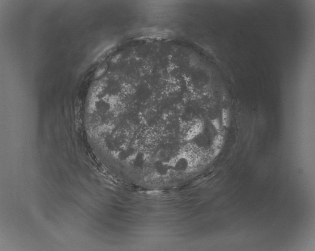 X0000076071399200610202002