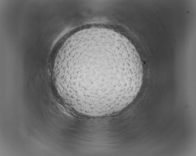 X0000076071400200610202002