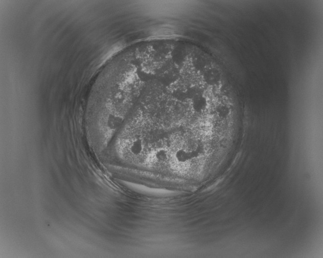 X0000076071401200610202002