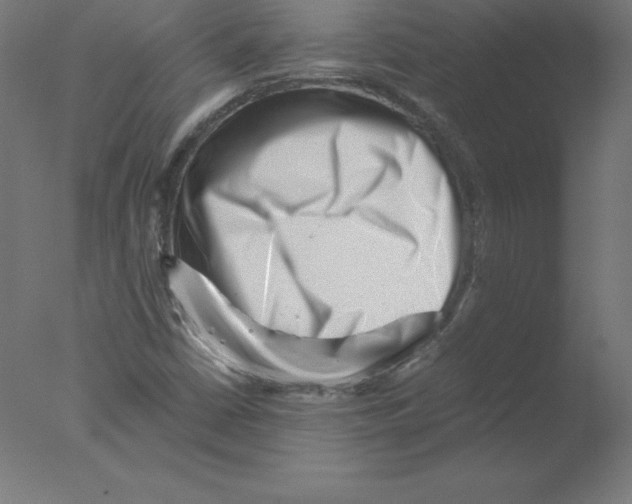 X0000076071402200610202002