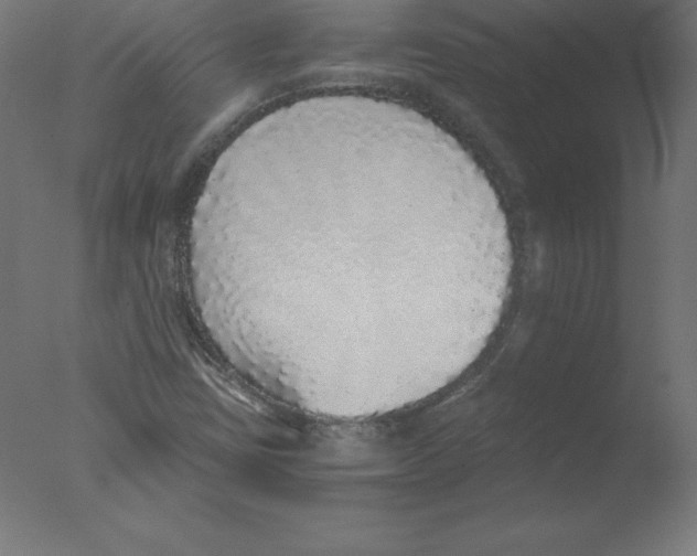 X0000076071403200610202002