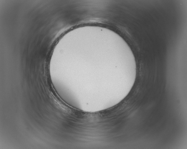 X0000076071404200610202002