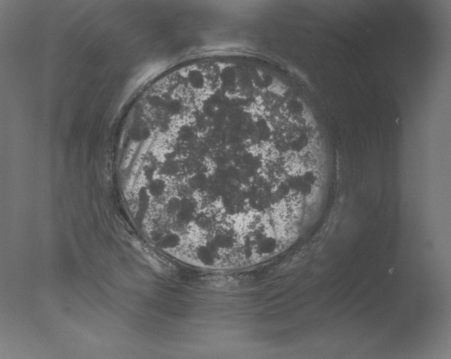 X0000076071405200610202002