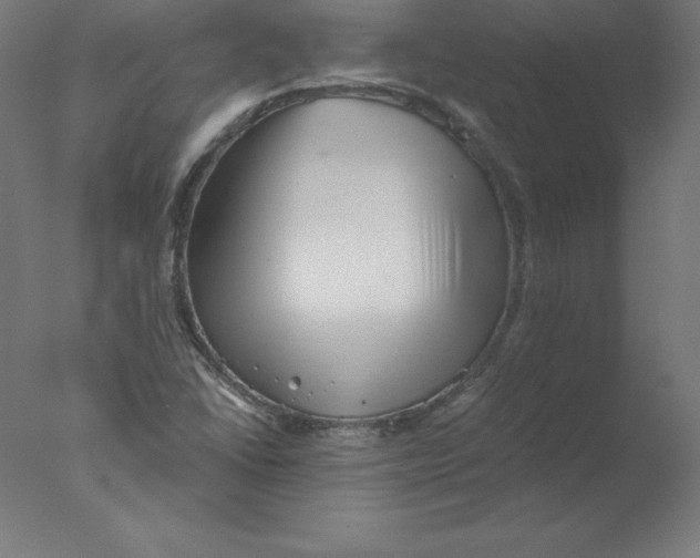 X0000076071406200610202002