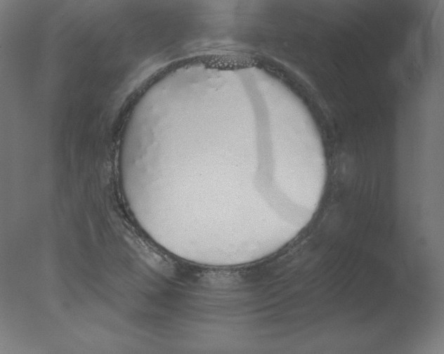 X0000076071407200610202002