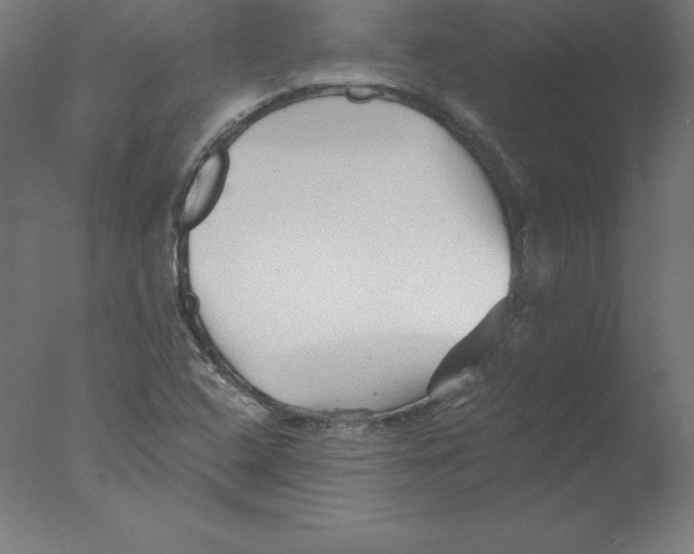 X0000076071408200610202002