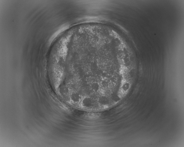 X0000076071411200610202002