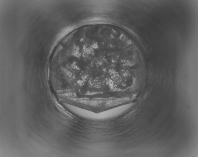 X0000076071413200610202002