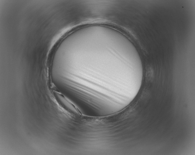 X0000076071414200610202002