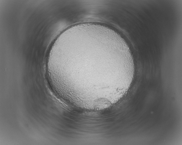 X0000076071415200610202002